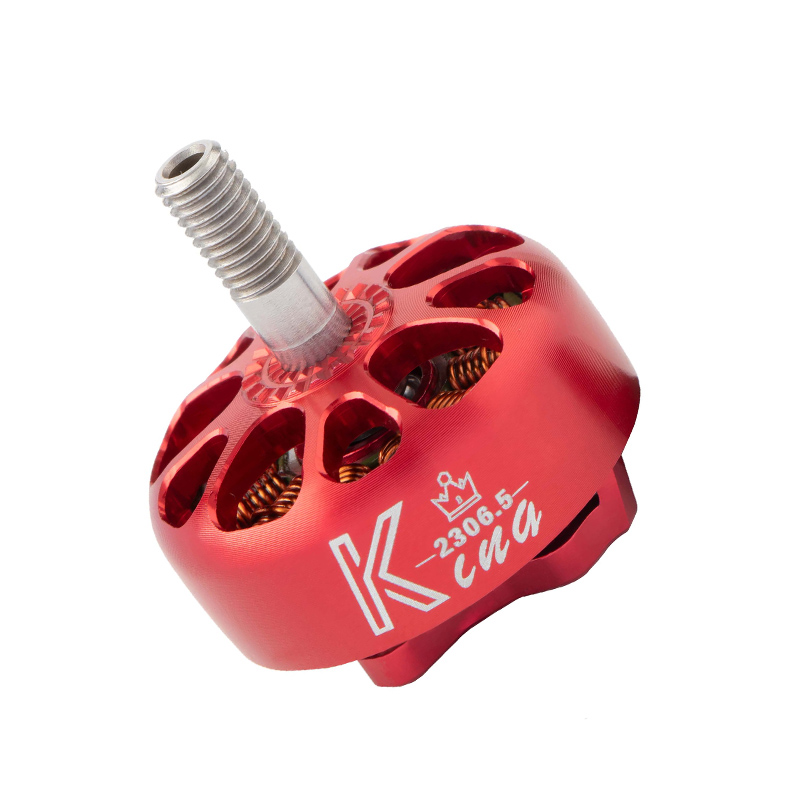 K2306.5 bešepetėlis nuolatinės srovės variklis